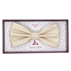 Beige Luxury Textured Weave Bow Tie
